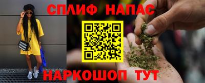 стафф Бийск